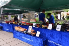 2016-06-19-IGS-Rosengarten-0010