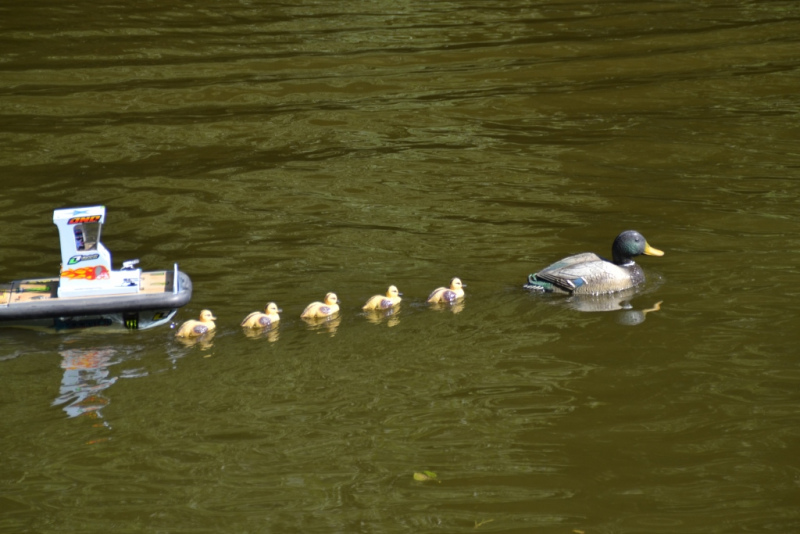Schaufahren Samstag 13.8.16 023
